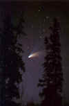 Trees Frame This Image of Comet Hale-Bopp (54012 bytes)